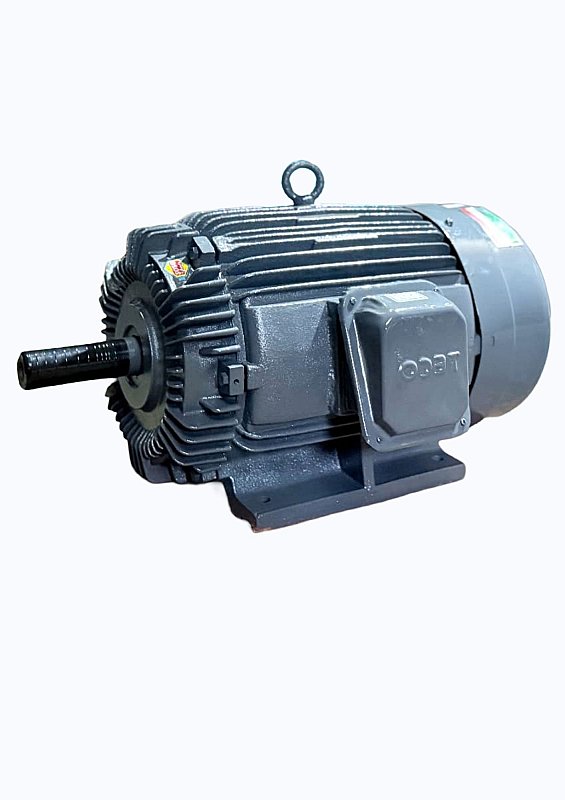 ELECTEIC MOTORS IN TECHO MODELS
