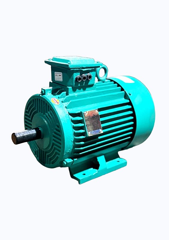 ELECTEIC MOTORS
