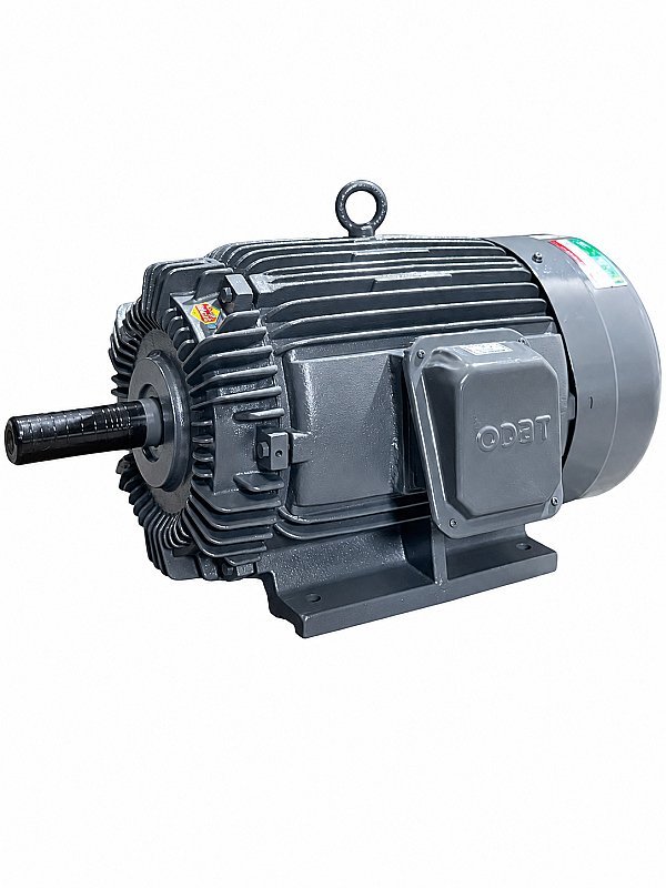 TECO MOTOR THREE PHASE