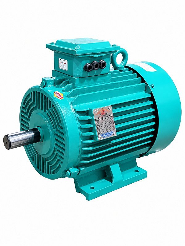 ELECTEIC MOTOR